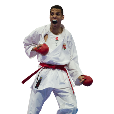 HAYASHI WKF Approved Chest Guard  (358-1)