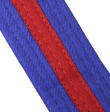 Belts - Coloured Belt With Coloured Stripe Adult - Yellow/Green Stripe,280CM