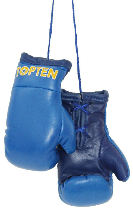 TOP TEN Mini Boxing Gloves (922) Black/Blue/Red/Gold/Silver - Black - Black