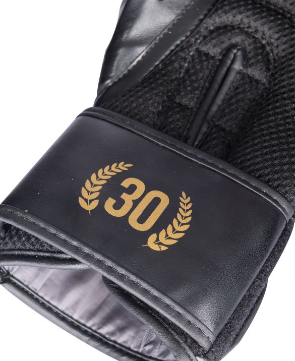 Boxing gloves "30 YEARS" - 10oz